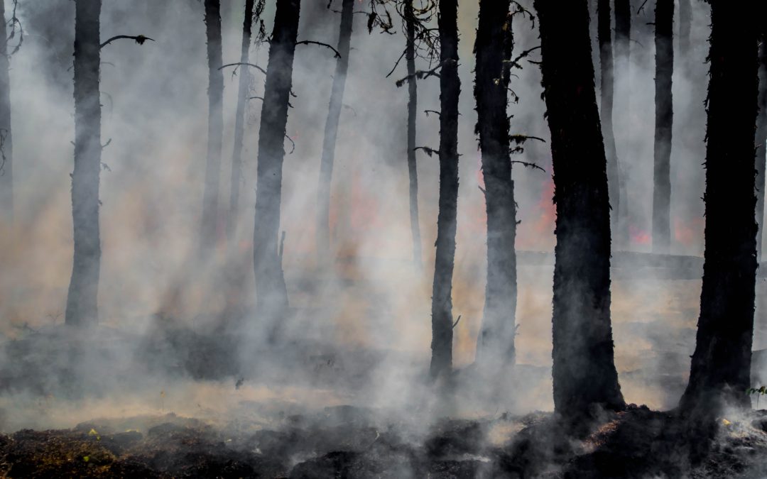 Disasters and Presumptions
