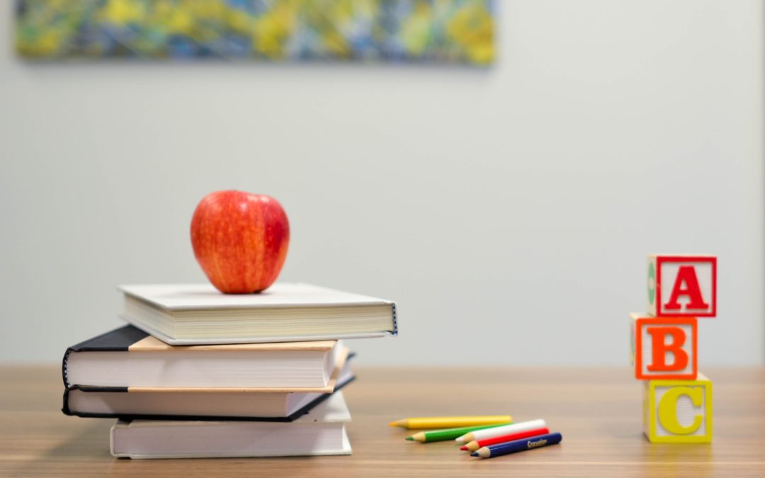 #29: Teach Your Children Well: Catechesis and Political Engagement