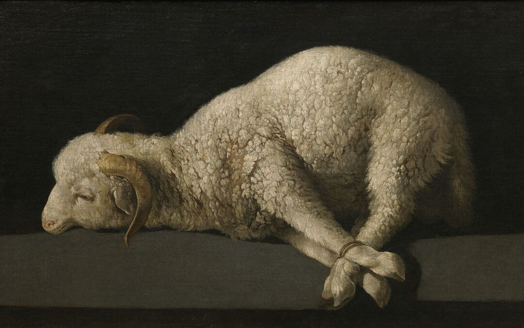#98: No Substitute for Substitution: Jesus, the Cross, and the Wrath of God