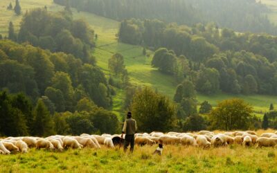 Marriage is About the Gospel: Clarifying the Boundaries of Christian Orthodoxy