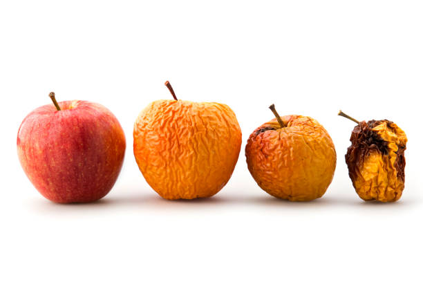 #120: Rotten Tomatoes: Veggies, Pharisees, and Hypocrites
