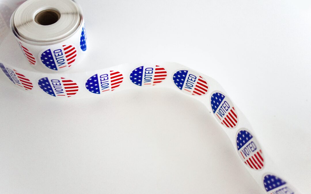 Anne’s Guide to Happiness and Figuring Out Who to Vote For