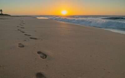 In Which I Hate on a Beloved “Christian Parable”