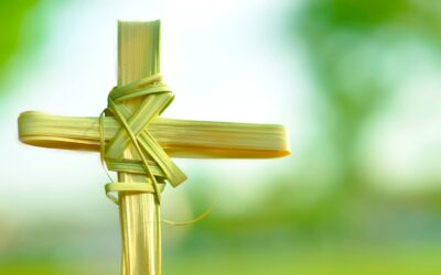 On Palm Sunday