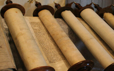 What Did the Risen Jesus Do?