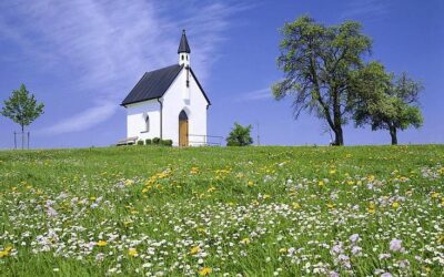 #164: Unashamed: God’s Word, Eternal Truth, and Changing Churches