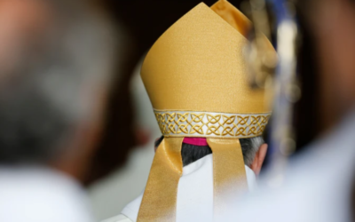 #255: For the Sake of ACNA? C4SO’s Election and the Past and Future of the Province